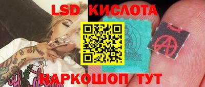 spice Аргун