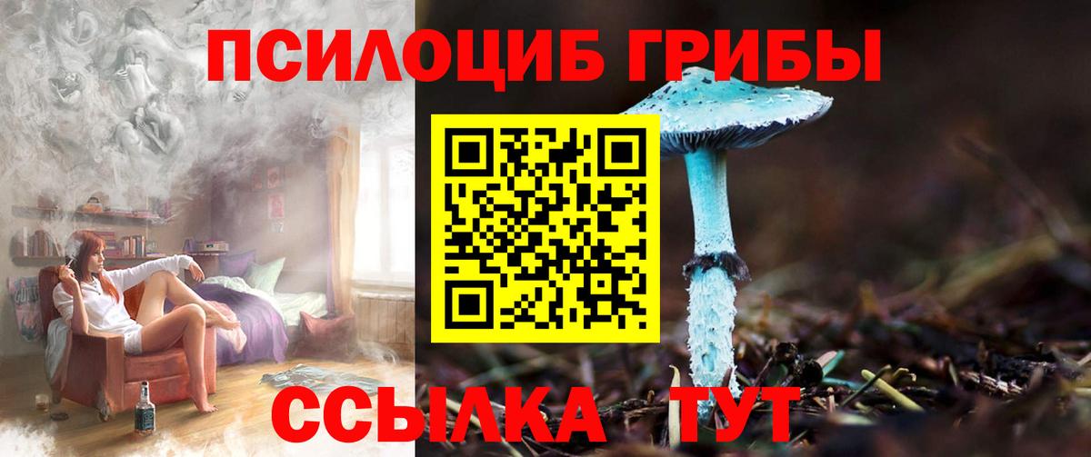 Белгород  Галлюциногенные грибы ЛСД  Псилоцибиновые грибы Magic Shrooms  как найти закладки  Вход с VPN 
