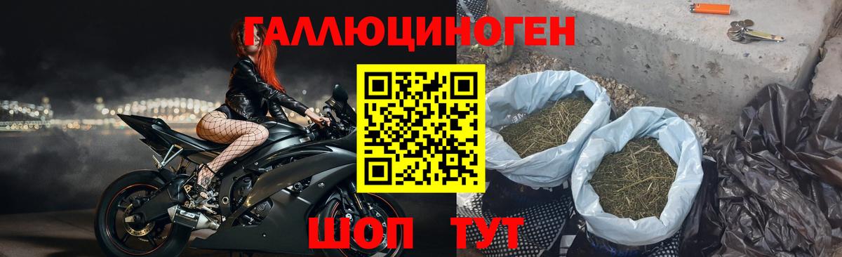Галлюциногенные грибы мухоморы Белгород